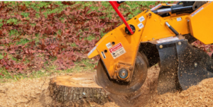 	emergency stump removal Adelaide Hills